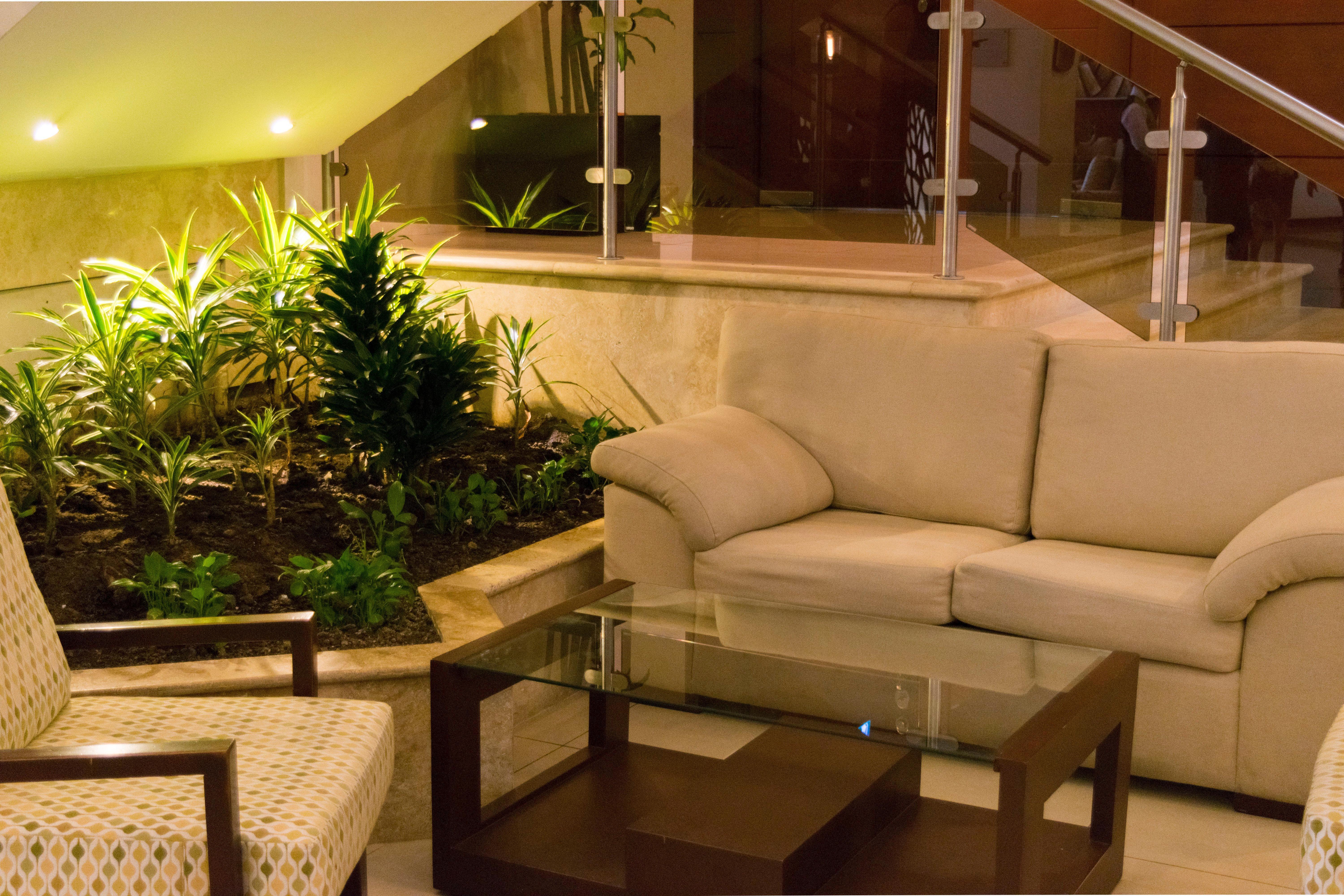 Hyatt Centric גואטמלה מראה חיצוני תמונה